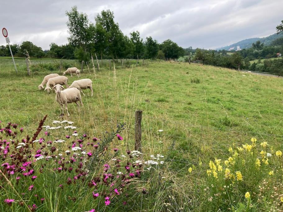 Ferienwohnung Niederstetten Buitenkant foto