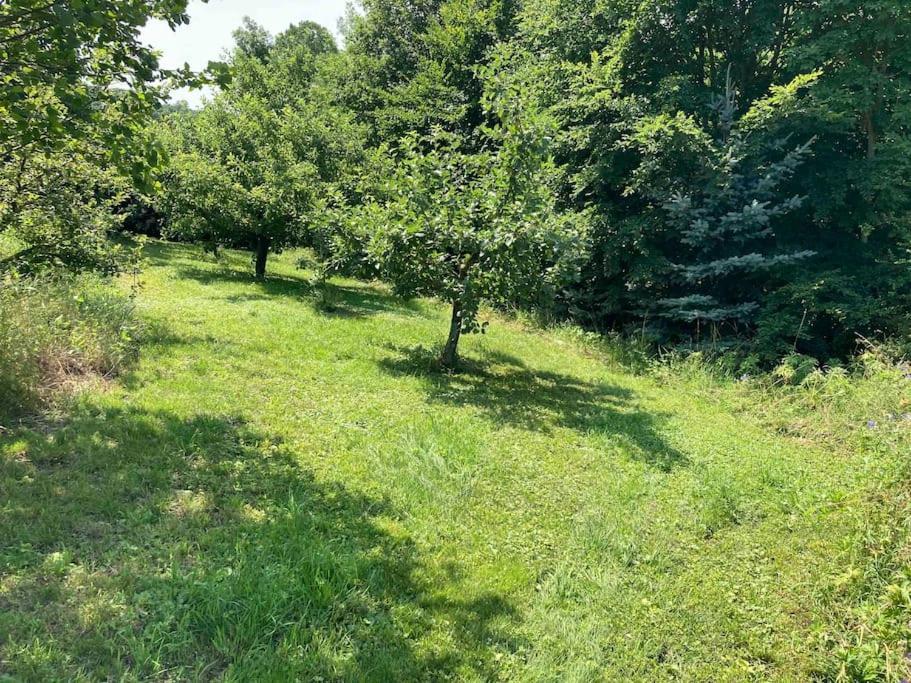 Ferienwohnung Niederstetten Buitenkant foto
